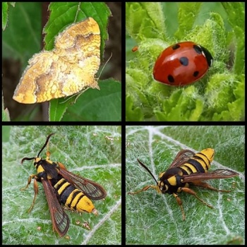 445046513 956712502918954 6143827698856530008 n 445046513 956712502918954 6143827698856530008 n