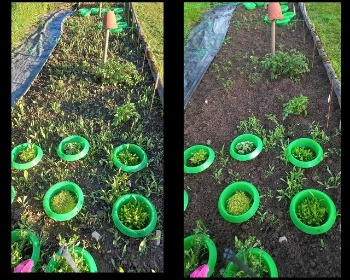 445095932 957501452840059 2735607143413265060 n 445095932 957501452840059 2735607143413265060 n