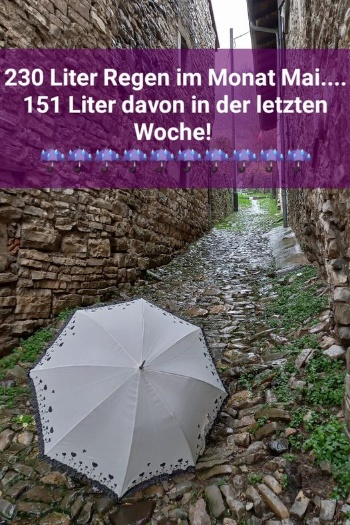 447475810 959842969272574 4133701965532106650 n 447475810 959842969272574 4133701965532106650 n