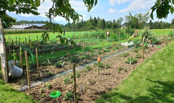 447959885 962558019001069 9207316047703831917 n 447959885 962558019001069 9207316047703831917 n