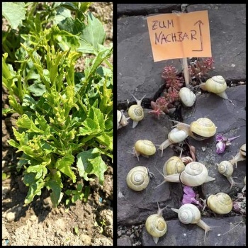 448430803 966761241914080 3783344201935279675 n 448430803 966761241914080 3783344201935279675 n