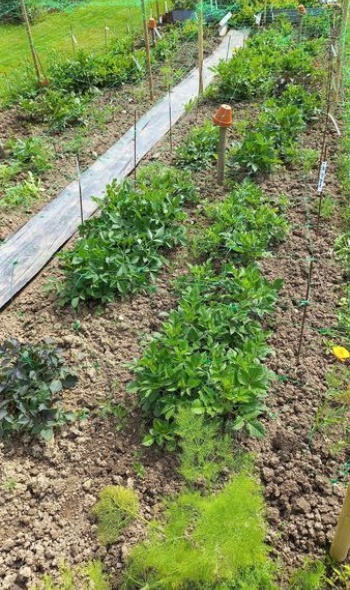 448494474 969031355020402 3165885836385447730 n 448494474 969031355020402 3165885836385447730 n