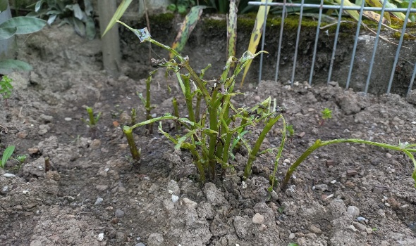 448789710 970885751501629 6077689019371953491 n 448789710 970885751501629 6077689019371953491 n