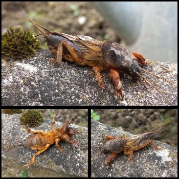 449145174 973444724579065 6710824856847838491 n 449145174 973444724579065 6710824856847838491 n