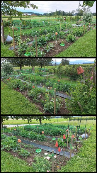 449379530 975412991048905 5082369823478401876 n 449379530 975412991048905 5082369823478401876 n