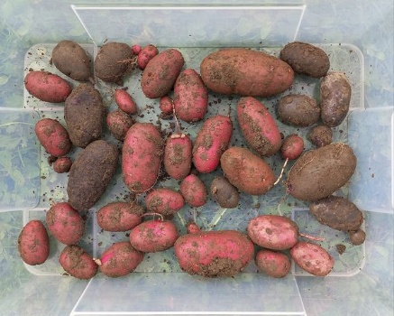 449382517 975413567715514 1353816697768566967 n 449382517 975413567715514 1353816697768566967 n