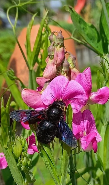 449688731 978053830784821 7822634770834286577 n 449688731 978053830784821 7822634770834286577 n