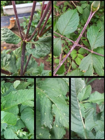 450998442 985491943374343 1056675813717977052 n 450998442 985491943374343 1056675813717977052 n