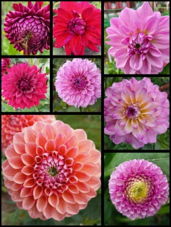 451128211 986507783272759 5894145026600121979 n 451128211 986507783272759 5894145026600121979 n