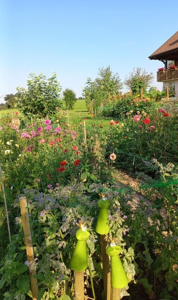 452559957 992436399346564 3120495069739702125 n 452559957 992436399346564 3120495069739702125 n