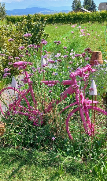 453263136 995401052383432 4212629995098365526 n 453263136 995401052383432 4212629995098365526 n