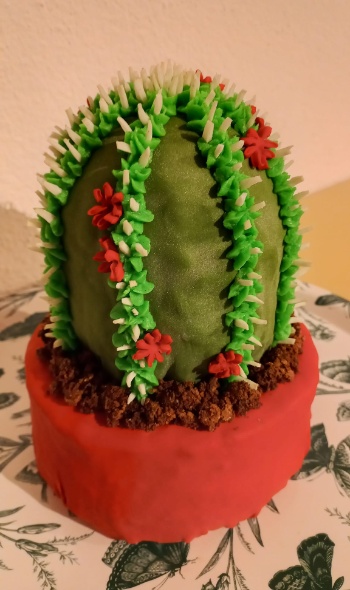 271550439 2158703424280796 4439009232109287181 n