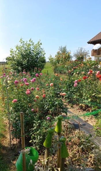 455036587 1004156158174588 6673304519718076629 n