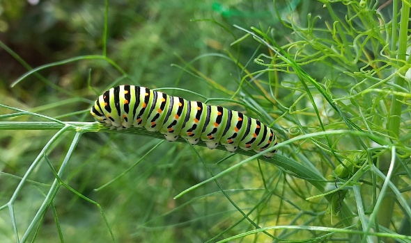 455216363 1004815008108703 5545161922478478519 n 455216363 1004815008108703 5545161922478478519 n