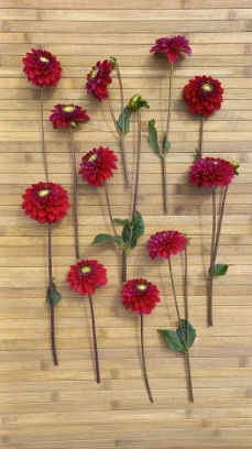 455723647 1008603821063155 8788036980169314089 n 455723647 1008603821063155 8788036980169314089 n