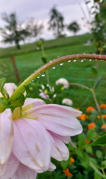 455766917 1007147954542075 1901644391021139022 n 455766917 1007147954542075 1901644391021139022 n