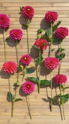 456117374 1008483874408483 5439975991158527501 n 456117374 1008483874408483 5439975991158527501 n