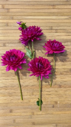 456460787 1010318597558344 1530056034251571849 n 456460787 1010318597558344 1530056034251571849 n