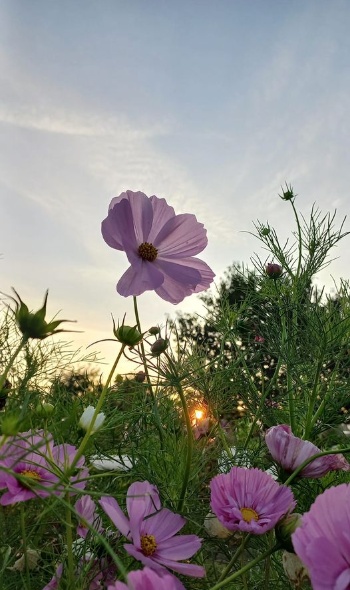 456587523 1011411264115744 5225814772413397200 n 456587523 1011411264115744 5225814772413397200 n