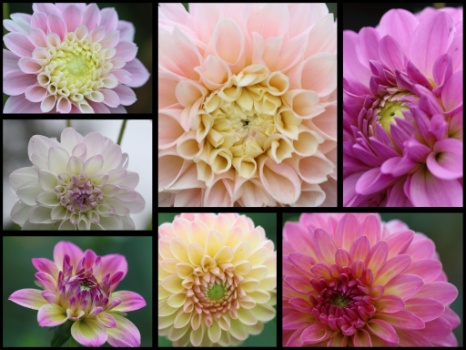 457038334 1013141010609436 5540741949324813423 n 457038334 1013141010609436 5540741949324813423 n