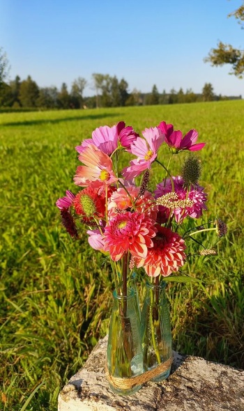 457317665 1015127687077435 5759970371930473309 n 457317665 1015127687077435 5759970371930473309 n