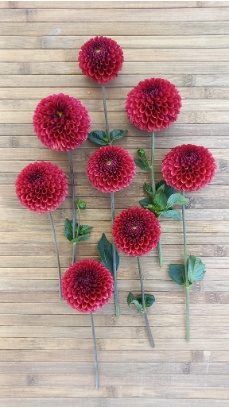 457396194 1014502803806590 3023051851729671067 n 457396194 1014502803806590 3023051851729671067 n