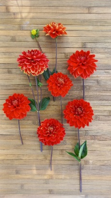 457624921 1016911826899021 6979256209654185677 n 457624921 1016911826899021 6979256209654185677 n