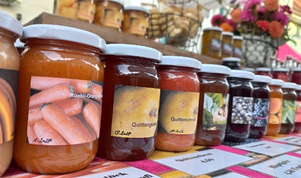 457858355 1016288030294734 5428390977902203152 n 457858355 1016288030294734 5428390977902203152 n