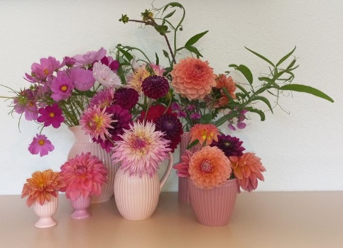 459057639 1021835683073302 3872807225591326824 n 459057639 1021835683073302 3872807225591326824 n