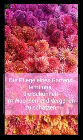 459158241 1022155319708005 4468012103210215023 n 459158241 1022155319708005 4468012103210215023 n