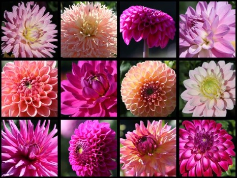 459316809 1023616106228593 4456092855273617061 n 459316809 1023616106228593 4456092855273617061 n