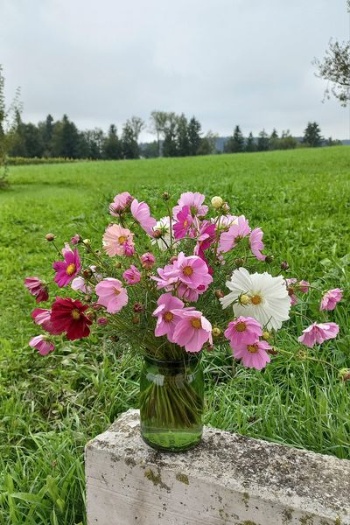 460665472 1029846282272242 7704422222004895994 n 460665472 1029846282272242 7704422222004895994 n