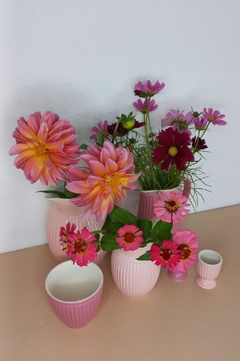 460733182 1028675462389324 2856533194689938435 n 460733182 1028675462389324 2856533194689938435 n