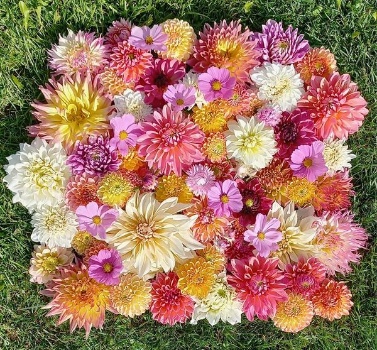 461049188 1034337711823099 7779323783938311319 n 461049188 1034337711823099 7779323783938311319 n