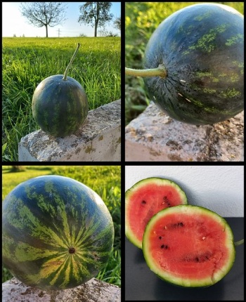 461082294 1030845872172283 4377725833099562781 n 461082294 1030845872172283 4377725833099562781 n