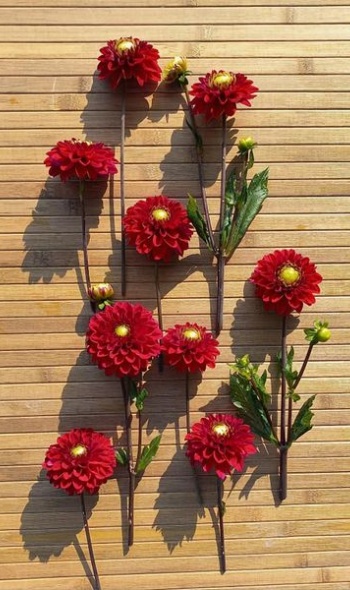 461287582 1032815455308658 1743657196932861428 n 461287582 1032815455308658 1743657196932861428 n