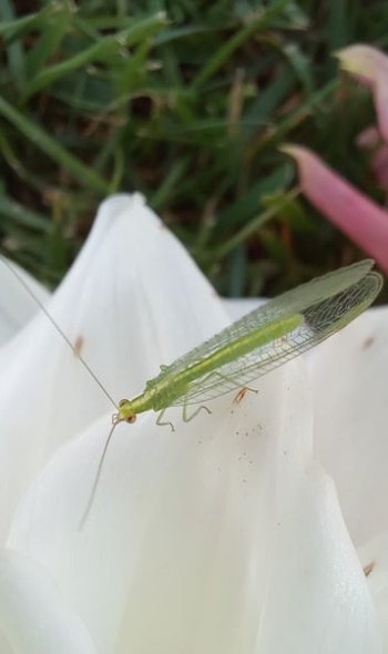 461400725 1033799785210225 3065814439773905203 n 461400725 1033799785210225 3065814439773905203 n