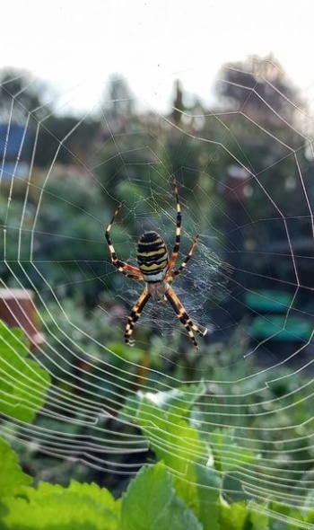 462169328 1041281477795389 4103282016791035219 n 462169328 1041281477795389 4103282016791035219 n