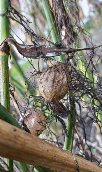 462193183 1041281434462060 7838470174115734023 n 462193183 1041281434462060 7838470174115734023 n