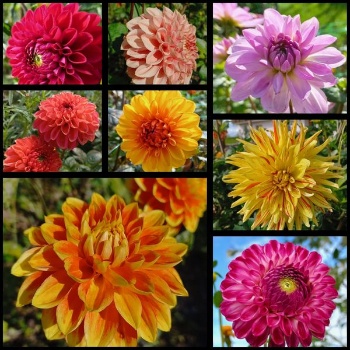 462378965 1042671844323019 7179480539701600556 n 462378965 1042671844323019 7179480539701600556 n