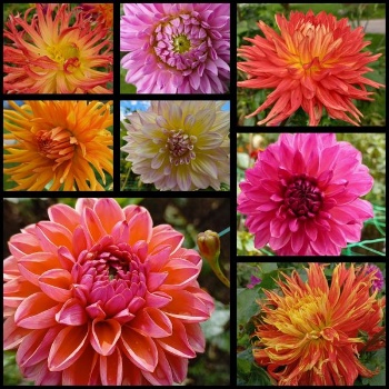 462419889 1042671704323033 47610316994421100 n