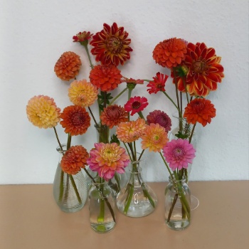 462513033 1044636854126518 4356935230863407601 n 462513033 1044636854126518 4356935230863407601 n