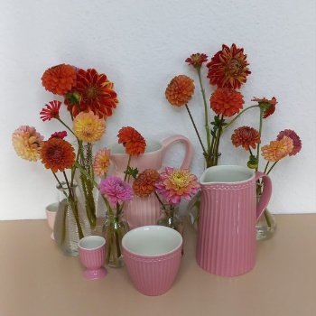 462950763 1046966613893542 6332570883613944359 n 462950763 1046966613893542 6332570883613944359 n