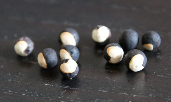 463065216 1047028773887326 7168437176982931868 n 463065216 1047028773887326 7168437176982931868 n