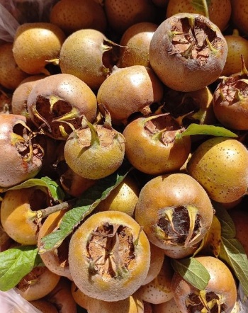 464126694 1053068629950007 2760328917840868920 n 464126694 1053068629950007 2760328917840868920 n