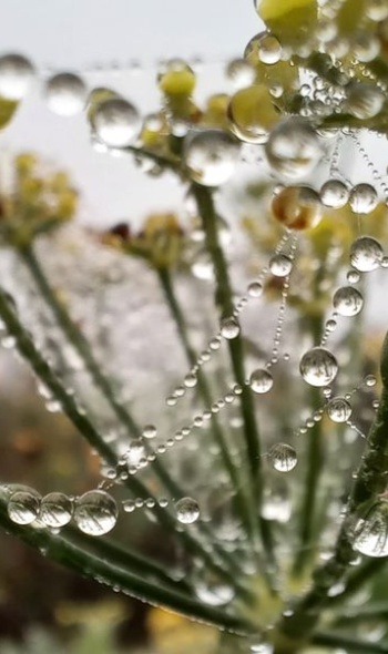 465025636 1058614556062081 49031743942507243 n 465025636 1058614556062081 49031743942507243 n