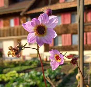 465693583 1063650752225128 1544669488500124710 n 465693583 1063650752225128 1544669488500124710 n