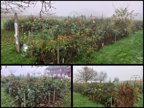 465781848 1063649998891870 1031054117082397484 n 465781848 1063649998891870 1031054117082397484 n