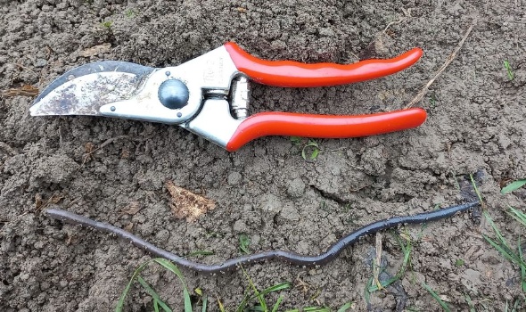 466017948 1067163728540497 756134630816532738 n 466017948 1067163728540497 756134630816532738 n