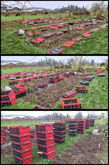 466329137 1067744888482381 8493105425491780994 n 466329137 1067744888482381 8493105425491780994 n